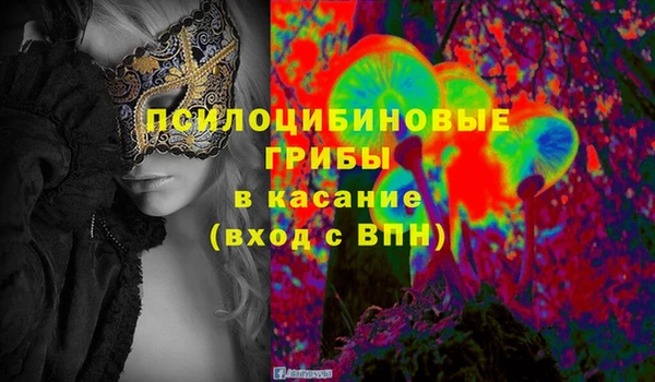 твердый Алзамай