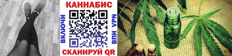 Канабис конопля Олонец
